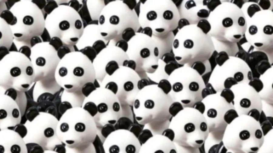 Optical Illusion Vision Test: Can you find the Dog hidden among Pandas in 10 Secs?