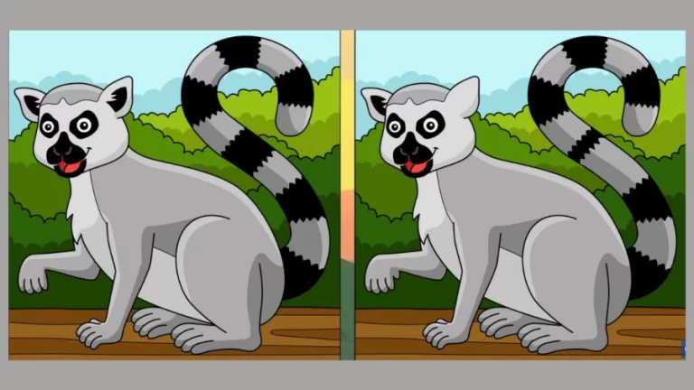 Spot the difference: Can you Spot 3 Differences in these Pictures? Picture Puzzle