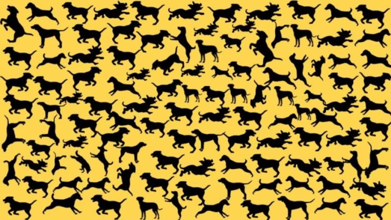 Optical Illusion Brain Test: If you have Hawk Eyes find the Wolf among the Dogs