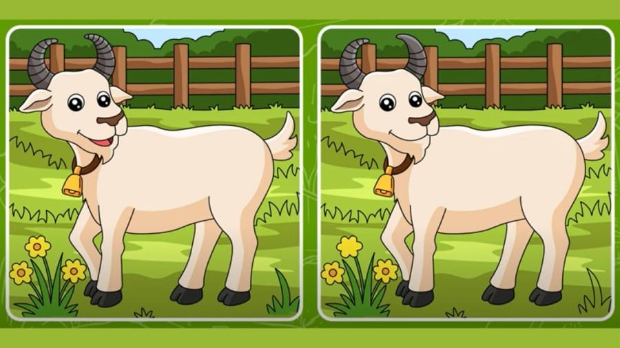 Brain Teaser: Test your Eye Sight with this Picture Puzzle Spot 5 Differences within 25 Secs