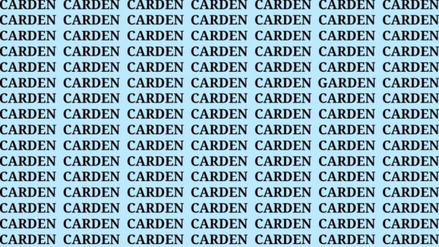 Brain Teaser: If you have Hawk Eyes find the word Garden in 15 secs