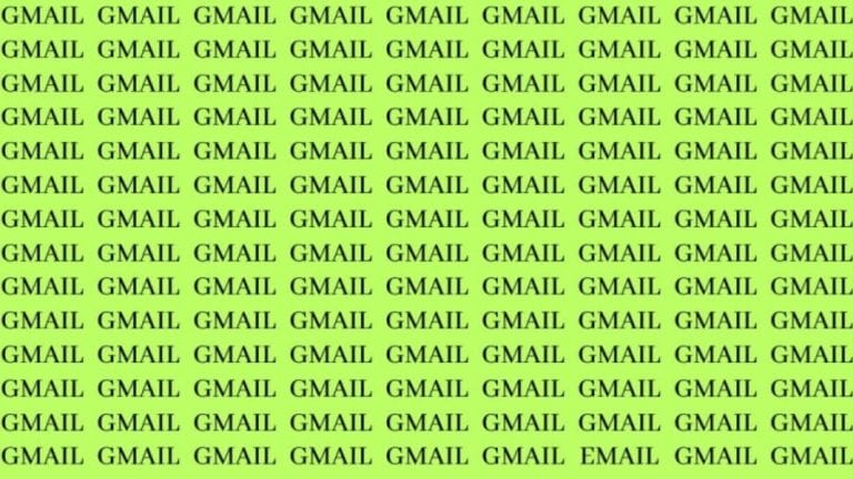 Brain Teaser: If You Have Hawk Eyes Find The Word Email In 15 Secs