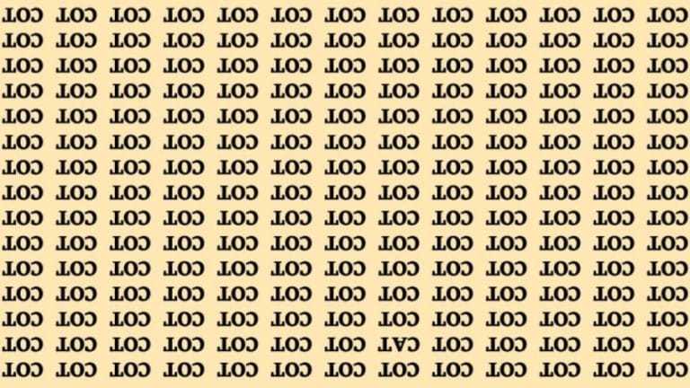 Brain Teaser: If You Have Sharp Eyes Find The Word Cat among Cot in 15 Secs