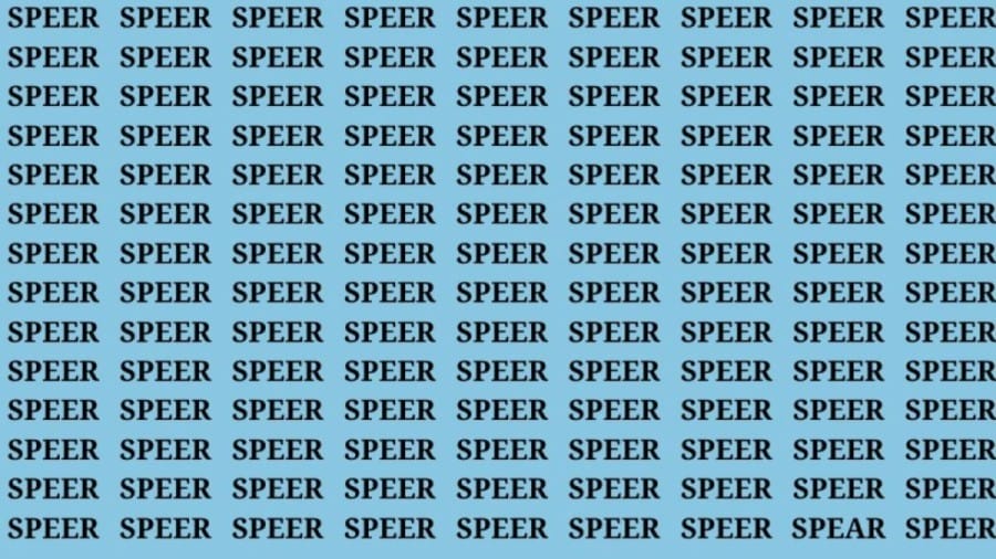 Brain Teaser: If You Have Hawk Eyes Find The Word Spear In 15 Secs