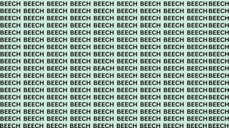 Optical Illusion Eye Test: If You Have Hawk Eyes Find The Word Beach Among Beech In 15 Secs