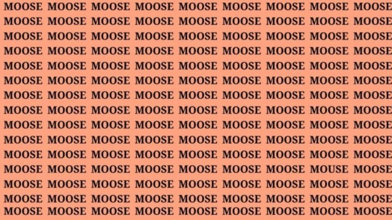 Brain Teaser: If You Have Hawk Eyes Find the Word Mouse in 15 Secs