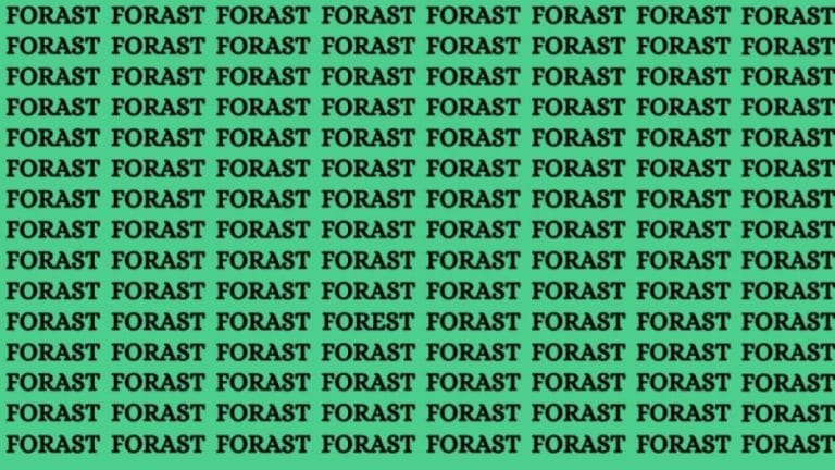 Brain Teaser: If You Have Eagle Eyes Find the Word Forest in 15 Secs