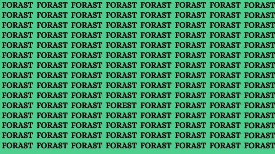 Brain Teaser: If You Have Eagle Eyes Find the Word Forest in 15 Secs