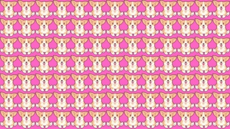 Can you Spot the Odd One Out in this Image within 14 Secs? Explanation and Solution to the Optical Illusion