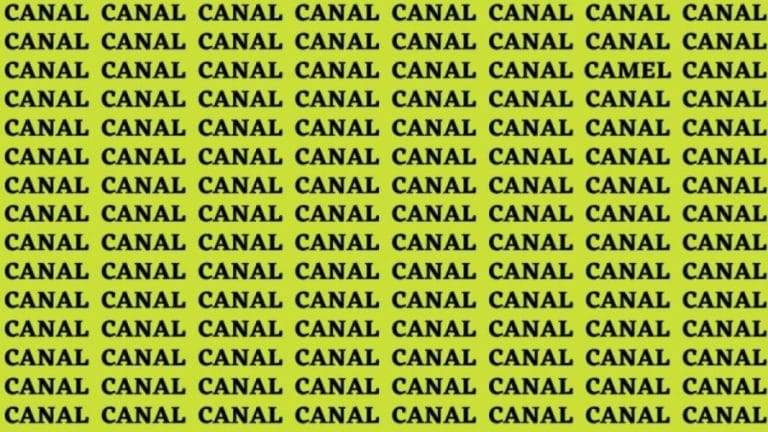 Brain Teaser: If You Have Sharp Eyes Find The Word Camel Among Canal in 20 Secs