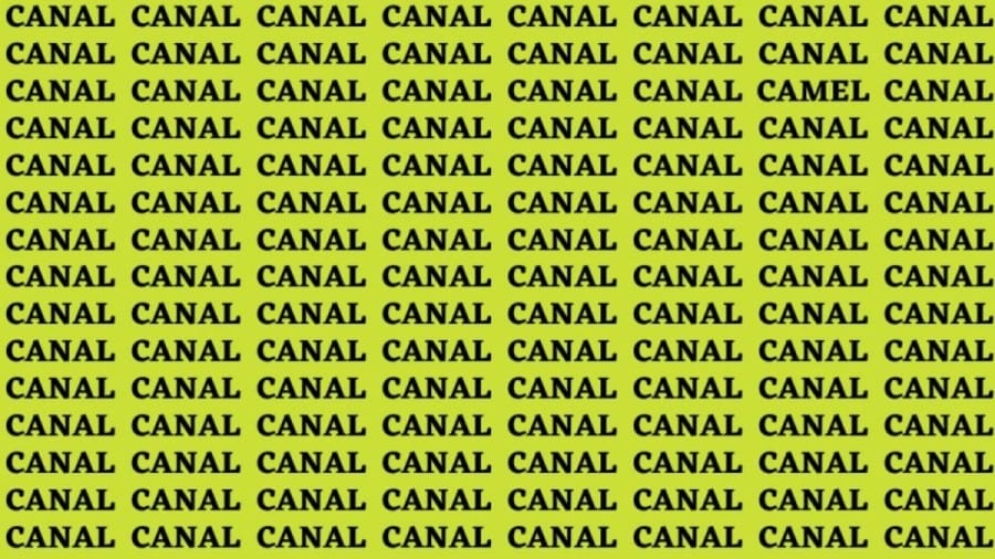Brain Teaser: If You Have Sharp Eyes Find The Word Camel Among Canal in 20 Secs
