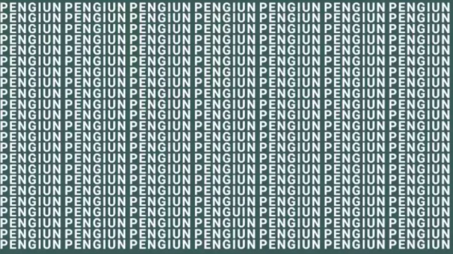 Brain Teaser: If You Have Hawk Eyes Find The Word Penguin In 10 Secs