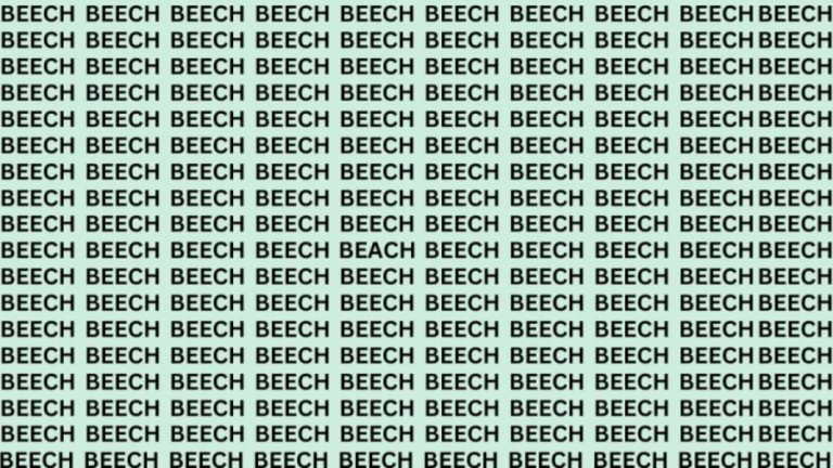 Optical Illusion: If You Have Hawk Eyes Find The Word Beach Among Beech In 20 Secs