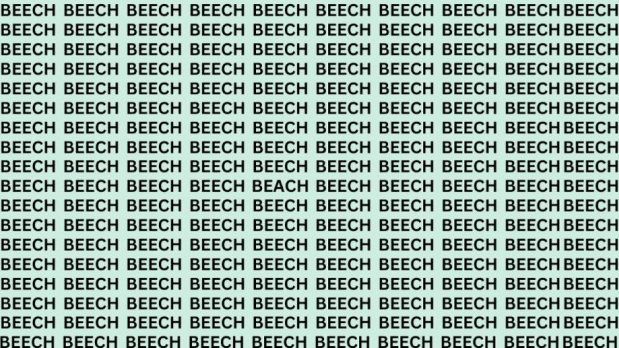 Optical Illusion: If You Have Hawk Eyes Find The Word Beach Among Beech In 20 Secs