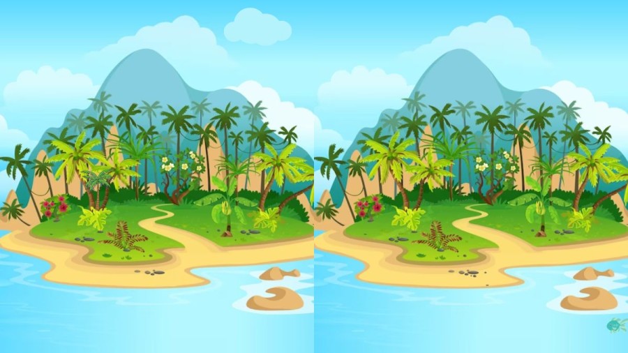 Brain Teaser: How Many Differences Can You Spot Between These Two Images?