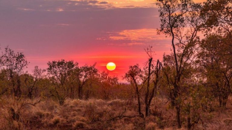 Optical Illusion Challenge: You Need To Look Twice To Notice The Lion In This Sunset Scene