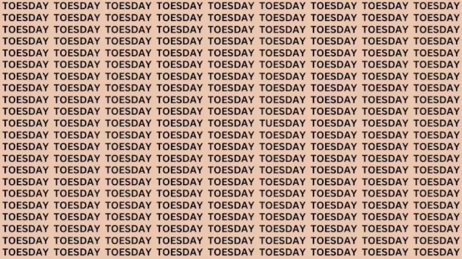 Brain Teaser: If You Have Eagle Eyes Find The Word Tuesday in 10 Secs
