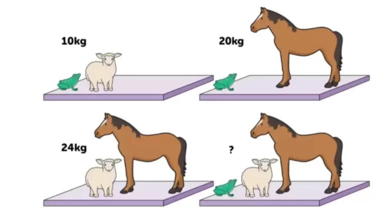 Brain Teaser Animal Math Puzzle – What Is The Weight Of Each Animal?