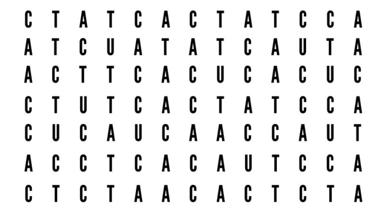 Brain Teaser: Can You Find The Word Cat In 20 Secs?