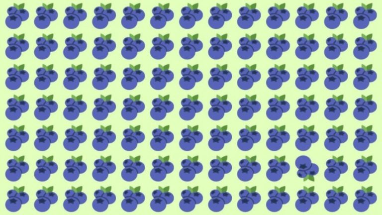 Brain Teaser: Can You Find The Odd One Out In This Image In 10 Secs?