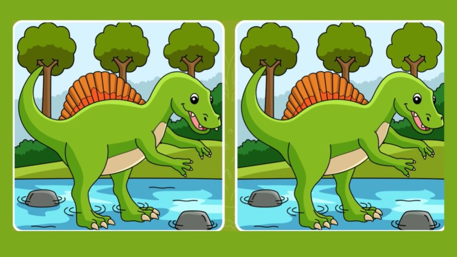 Brain Teaser: Can you Spot 5 Differences between these Two Images in 20 Secs? Spot the Difference Game