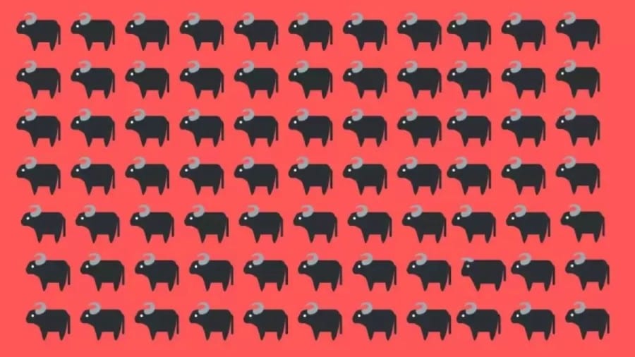 Brain Teaser: Find the Bull Among These Buffaloes Within 20 Seconds?