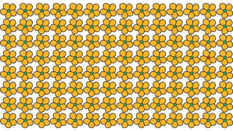 Brain Teaser For Sharp Eyes: Can You Spot The Odd One Out In 20 Secs?