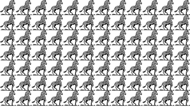 Brain Teaser: If You Have Eagle Eyes find 3 legs within 15 Seconds?