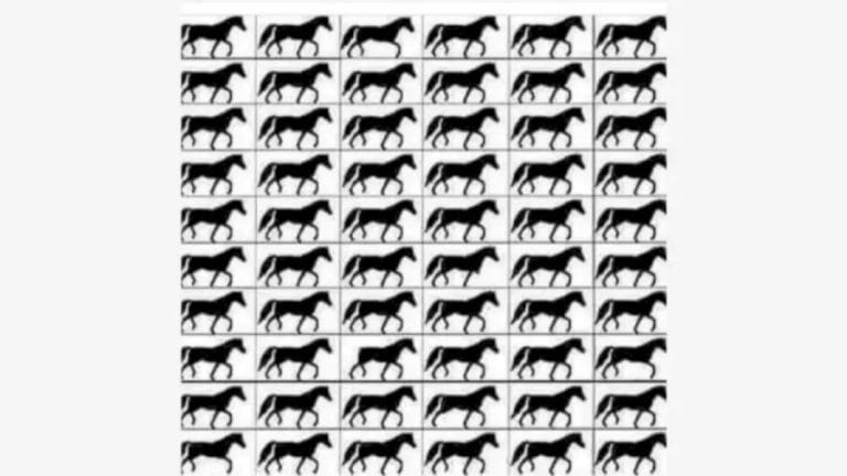 Brain Teaser: If You Have Hawk Eyes find How Many Horses with 3 Legs?