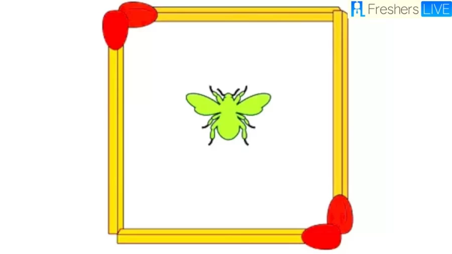 Brain Teaser Matchstick Puzzle: Move 2 Matchstick To Create Another Square with The Fly Outside the Square