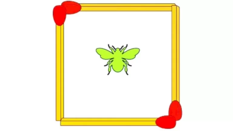 Brain Teaser – Move 2 Matchstick To Create Another Square with The Fly Outside the Square