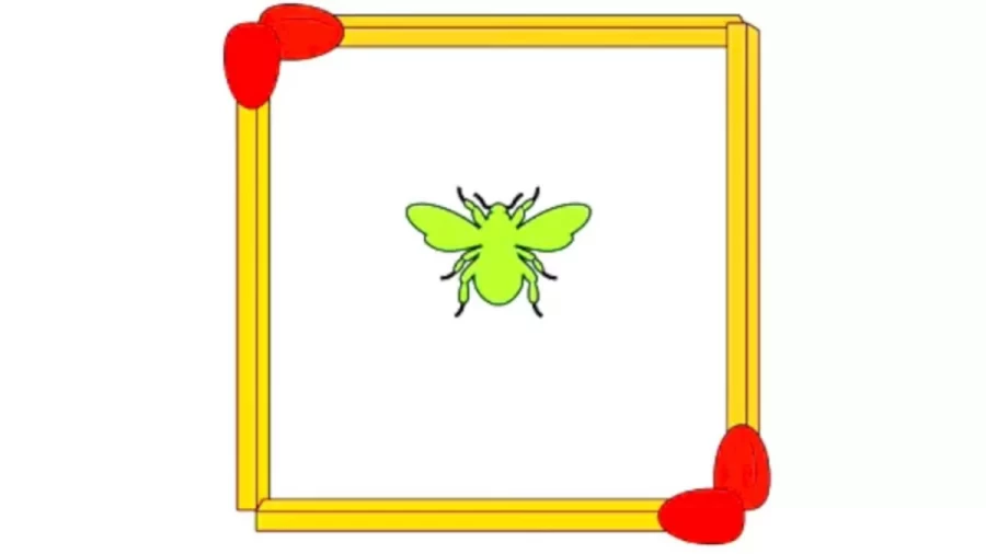 Brain Teaser - Move 2 Matchstick To Create Another Square with The Fly Outside the Square