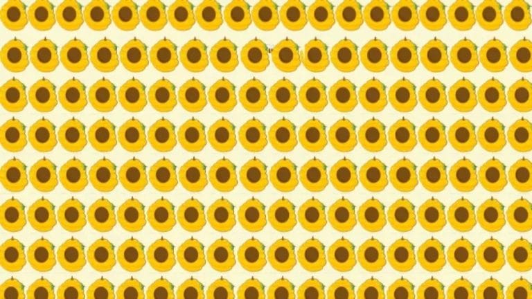 Brain Teaser Picture Puzzle: A Bee is Hiding Amongst these Honey Combs Can You Spot the Bee?