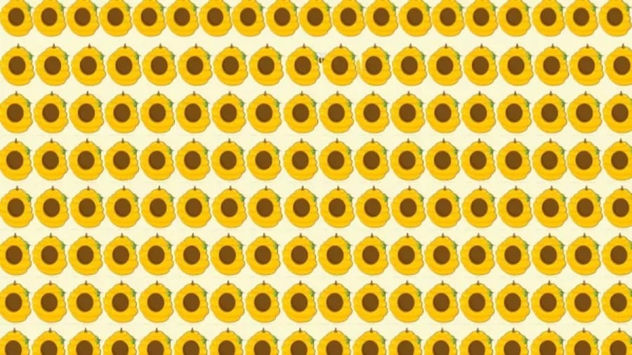 Brain Teaser Picture Puzzle: A Bee is Hiding Amongst these Honey Combs Can You Spot the Bee?