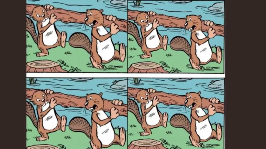 Brain Teaser Picture Puzzle: Can You Spot the Difference between the Two Pictures