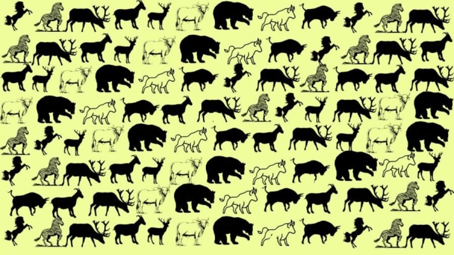 Brain Teaser Picture Puzzle: If you have Sharp Eyes Find the Number of animals with 3 legs in 25 seconds