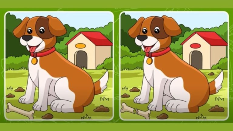 Brain Teaser Picture Puzzle: Test your Eye Sight with this Picture Puzzle Spot 5 Differences within 20 Secs