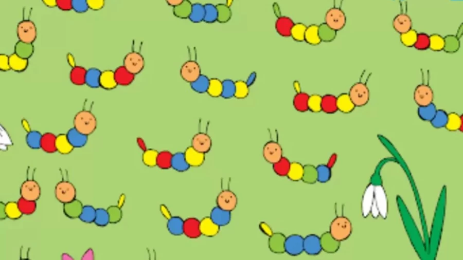 Brain Teaser Picture Puzzle: Which Caterpillar Doesnt Have A Pair?