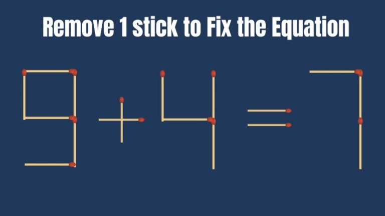 Brain Teaser: Remove 1 Matchstick and Make the Equation 9+4=7 Right | Matchstick puzzle