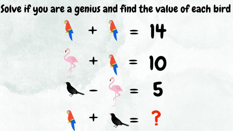 Brain Teaser: Solve if you are a genius and find the value of each bird