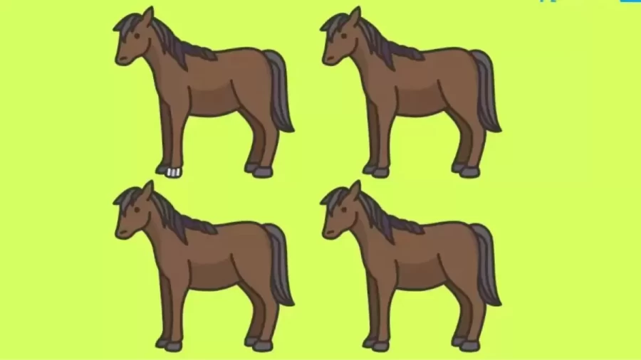Brain Teaser Today: Find The Odd One Out From These Horses In 15 Seconds - Picture Puzzle