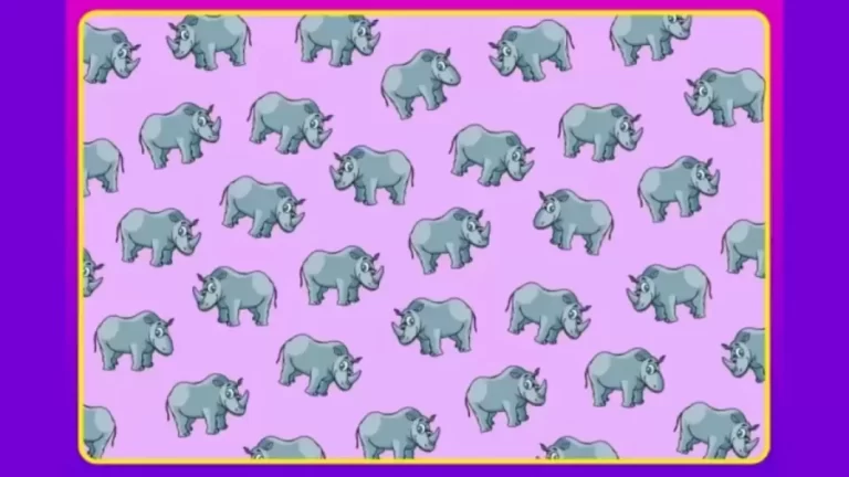 Brain Teaser Visual Puzzle: How Many Hornless Rhinos Are There?