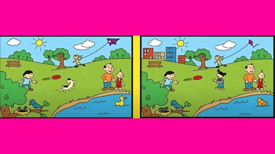 Brain Teaser Visual Test: Only a Genius can Find the 5 Differences in less than 30 seconds!