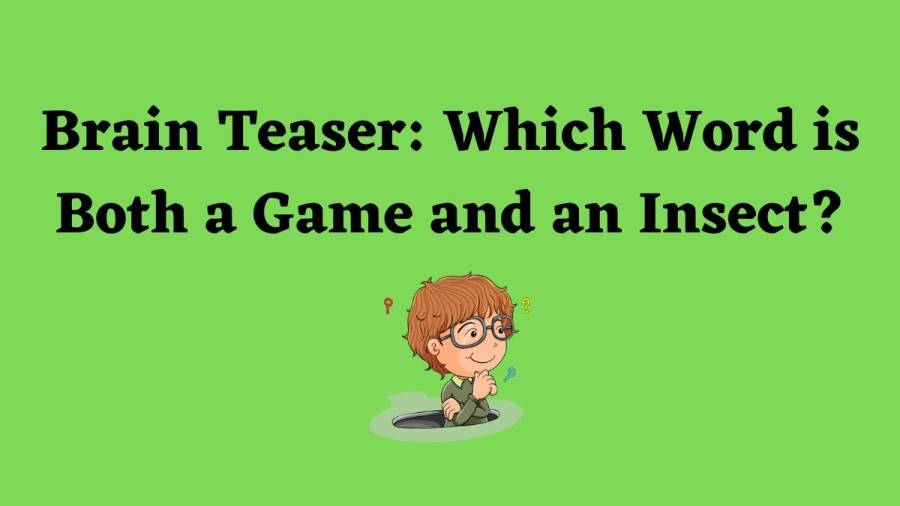 Brain Teaser: Which Word is Both a Game and an Insect?