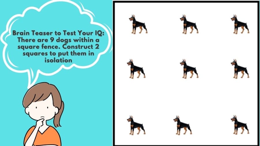 Brain Teaser to Test Your IQ: There are 9 dogs within a square fence. Construct 2 squares to put them in isolation
