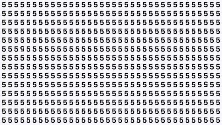 Brain Test: How Many Inverted 5 Can You Find Here?