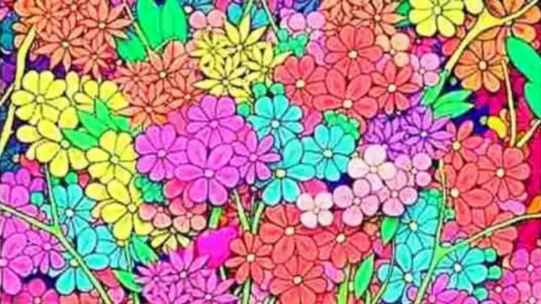 Can You Detect A Heart Among The Flowers Within 12 Seconds? Explanation And Solution To The Optical Illusion