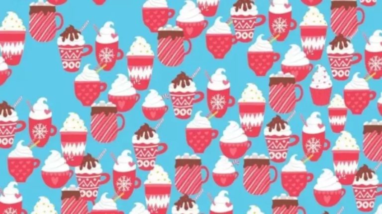 Can You Detect The Hidden Cupcake Among The Hot Cocoa Within 16 Seconds? Explanation And Solution To The Hidden Cupcake Optical Illusion