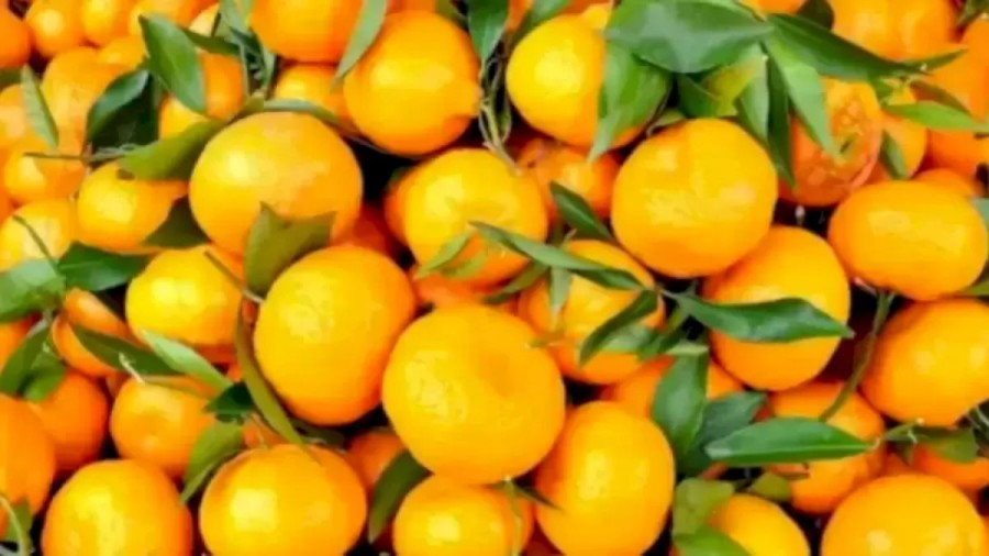 Can You Find The Hidden Flower Amid These Tangerines Within 8 Seconds? Explanation And Solution To The Hidden Flower Optical Illusion