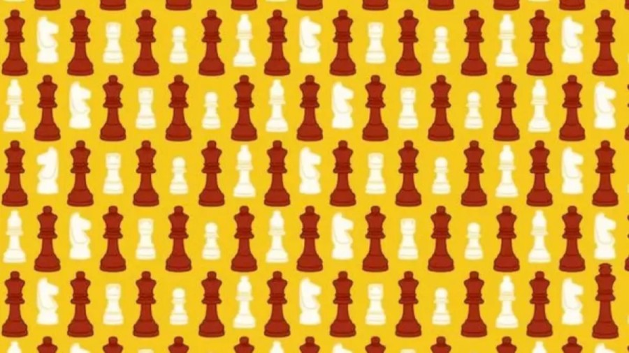 Can You Find The King In This Image? Explanation And Solution To The King Optical Illusion